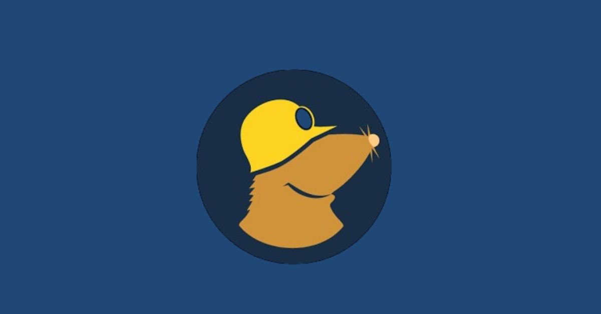 Mullvad Browser