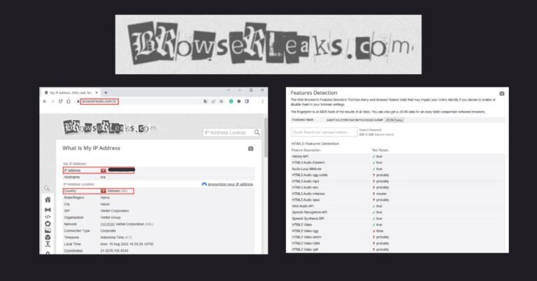 browserleaks review
