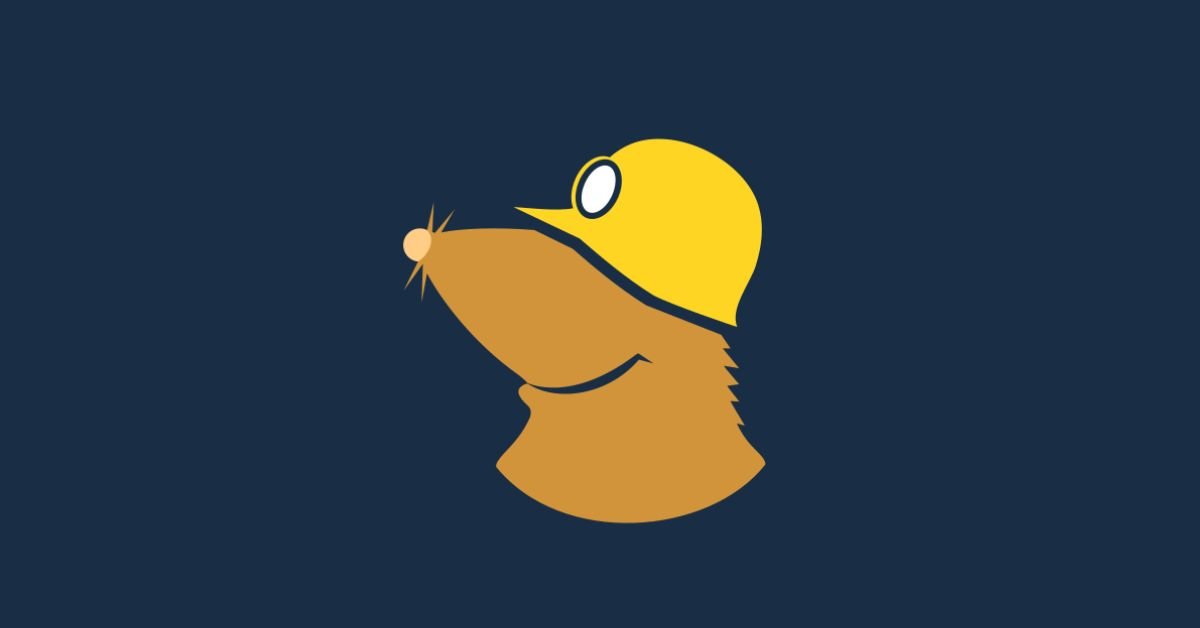 Mullvad vpn