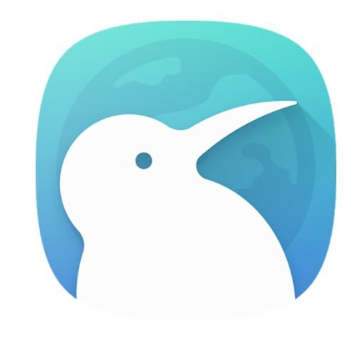 Kiwi Browser